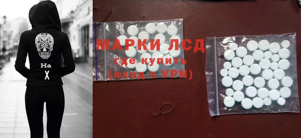 сатива Инта