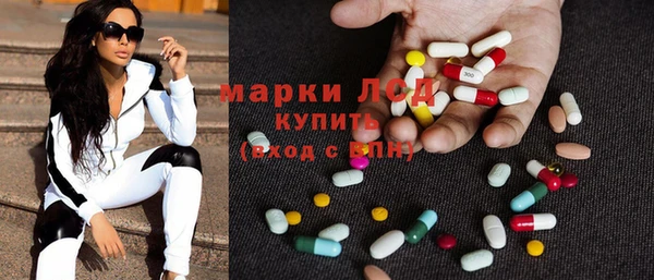 сатива Инта