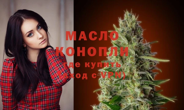 стаф Инсар
