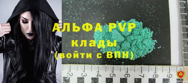 стаф Инсар